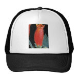 Kohleria  flowers hat