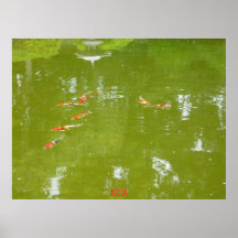 Koi Fish Poster