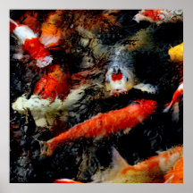 Koi Pond Colourful Photo Poster