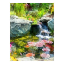 Koi Pond Postcard