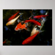 KOI ZEN POSTERS