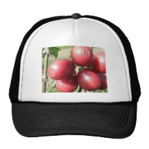 Kona Coffee Cherries - different view Trucker Hats