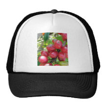 Kona Coffee -  Cherries Hat