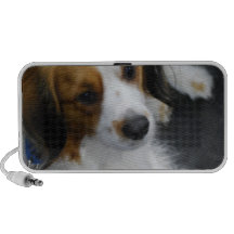  Kooikerhondje Dog Speakers