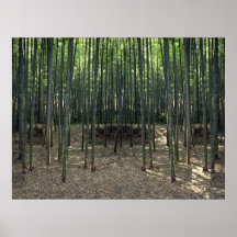 KYOTO BAMBOO FOREST PRINT
