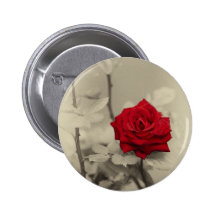_L0S7918.jpg Pinback Button