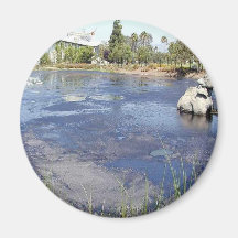 La Brea Tarpits Ponds Museums Refrigerator Magnets
