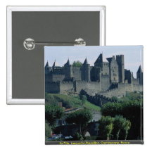 La Cite, Languedoc-Roussillon, Carcassonne, France Pin