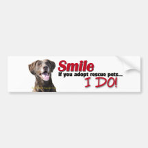 Lab Smile Adopt rescues Bumper Sticker