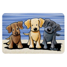 Lab Trio Flexi Magnet