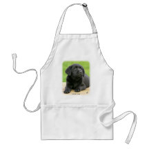 Labrador puppy 9Y267D-109 Aprons