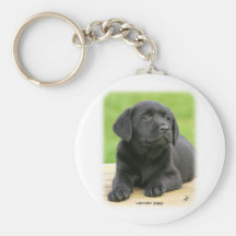 Labrador puppy 9Y267D-109 Keychain