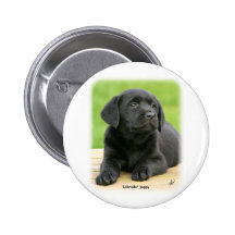 Labrador puppy 9Y267D-109 Pins