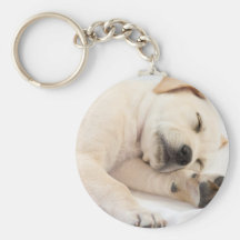 Labrador Puppy Keychain