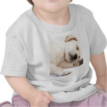 Labrador Puppy Tee Shirt