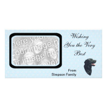 Labrador Retriever ~ Blue w/ White Diamonds Personalized Photo Card