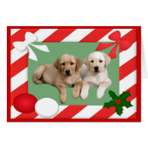Labrador Retriever Christmas Card Frame