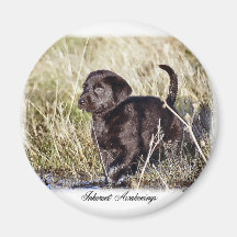 Labrador Retriever Gifts Refrigerator Magnets
