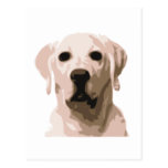 Labrador retriever hangover postcard