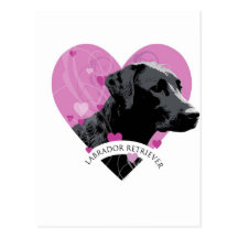 Labrador Retriever Love Heart Post Card