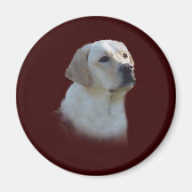 Labrador Retriever Magnet