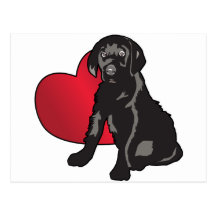 Labrador Retriever Post Card