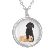 Labrador Retriever Puppies Playing Necklaces