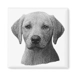 Labrador Retriever - Sylized Image - Add Text magnets