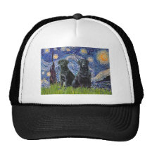 Labrador (two black) - Starry Night Hat