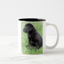 Labradors Mug
