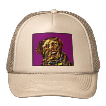 LABS ROCK MESH HAT