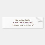 labyellow bumper stickers