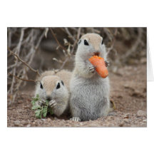 Ladies Who Lunch Greeting Card