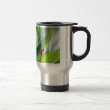 Lady Bug on Blade of Grass Coffee Mugs