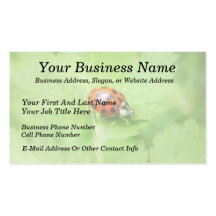 Lady Bug on Feverfew Leaf Business Card