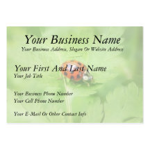 Lady Bug on Feverfew Leaf Business Card