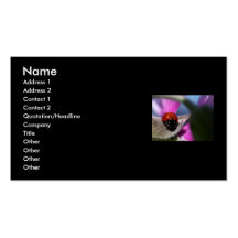 Lady Bug & Purple Flower Business Card