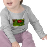 Lady Bug Tshirt