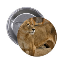 Lady Lioness Button