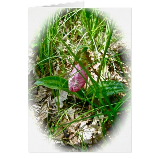 Lady Slipper Wild Orchid Card