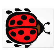 Ladybird Announcements
