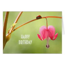Ladybug and Bleeding Heart Flower cards