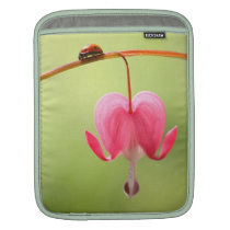 Ladybug and Bleeding Heart Flower ipad sleeves