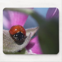 Ladybug Insect Mousepads