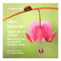Ladybug Invitations invitations