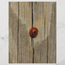 Ladybug on wood personalized flyer