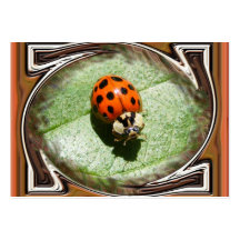 Ladybug with frame ~ ATC Business Cards