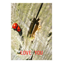 Ladybugs Love You Invitation