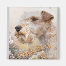 Lakeland Terrier Among Roses magnet