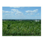 Lancaster field, Greetings from Lancaster, PA Post Card